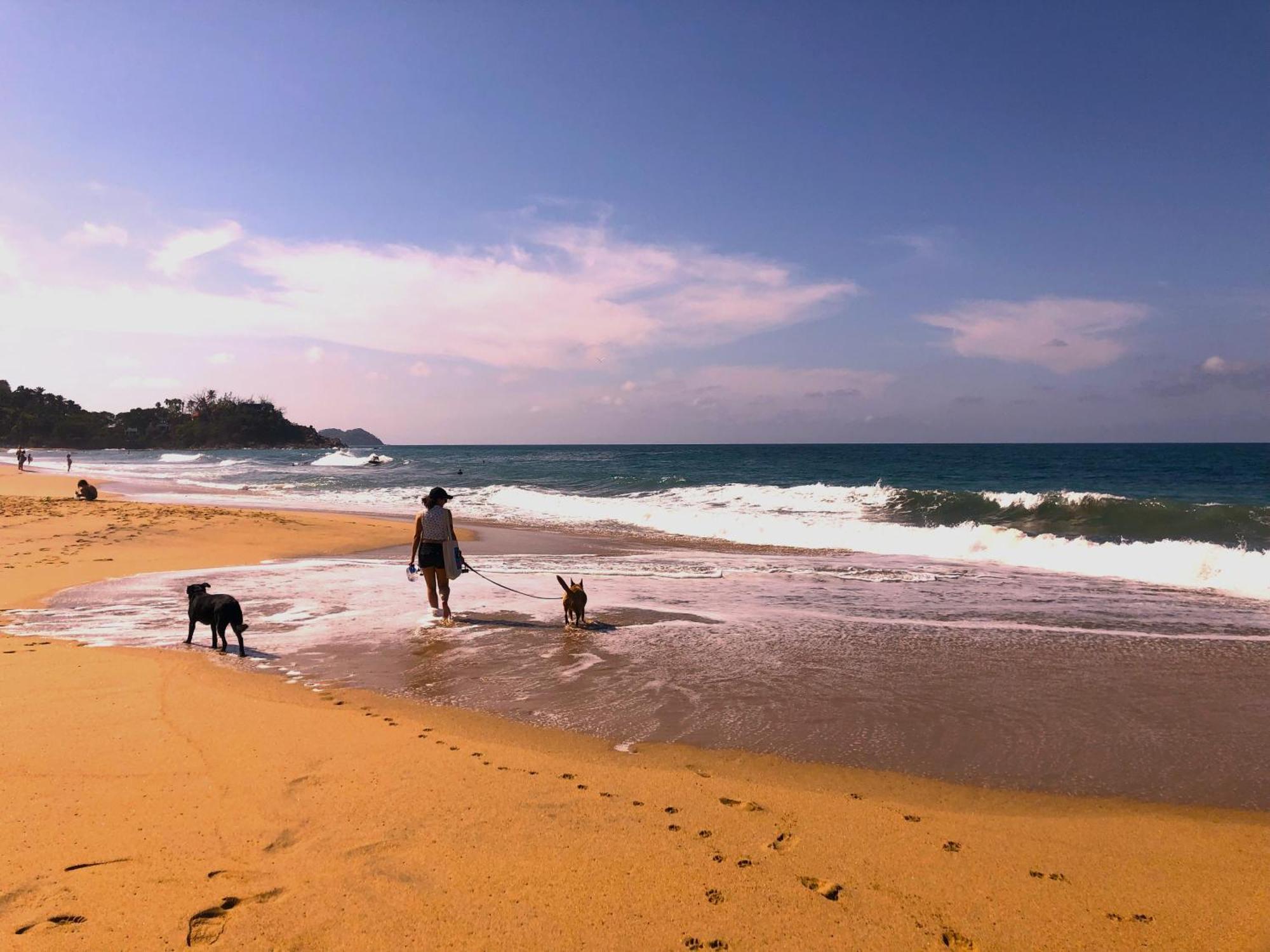 Frondavista San Pancho Apartment ซานฟรานซิสโก ภายนอก รูปภาพ